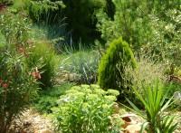 /album/fotogalerie-vysadba1/zahrada-na-1-jpg/